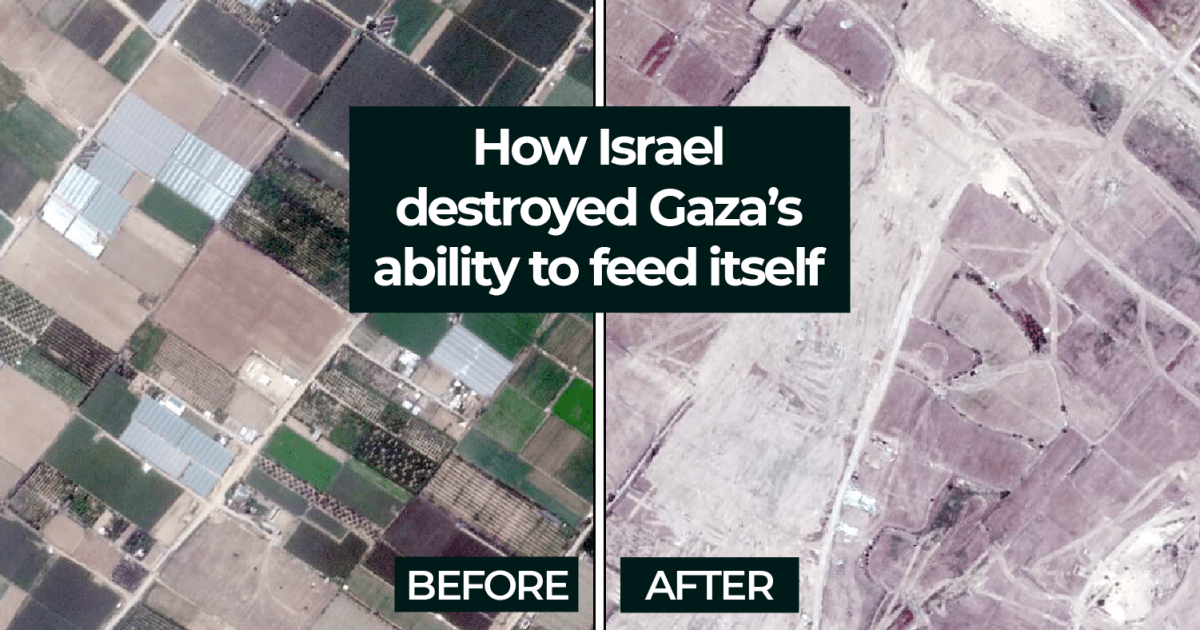 How Israel destroyed Gaza’s ability to feed itself | Israel-Palestine conflict News