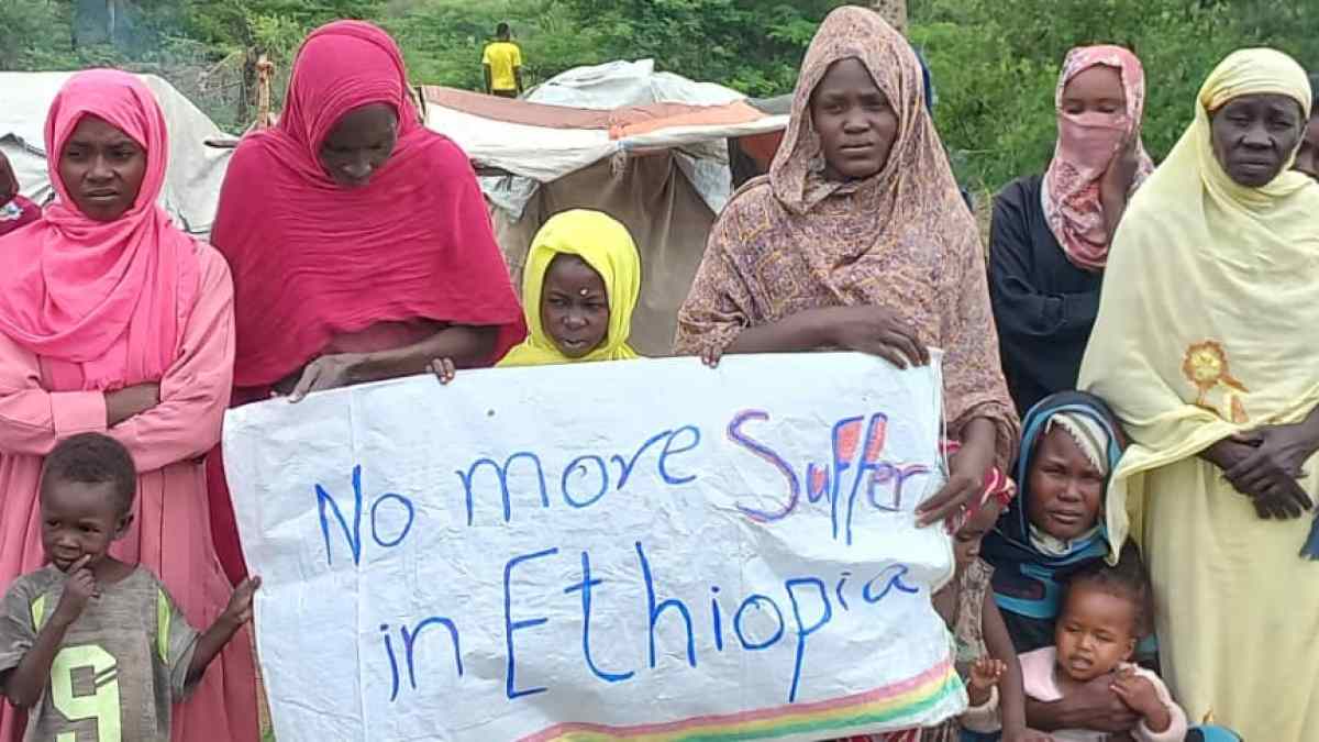 Sudanese refugees hiding in Ethiopian forest to escape bandits and militias | Refugees