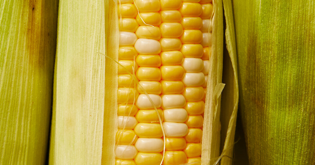 How Healthy is Sweet Corn?