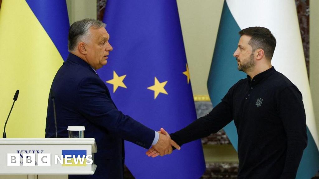 Hungary's Viktor Orban urges Ukraine ceasefire on Kyiv visit