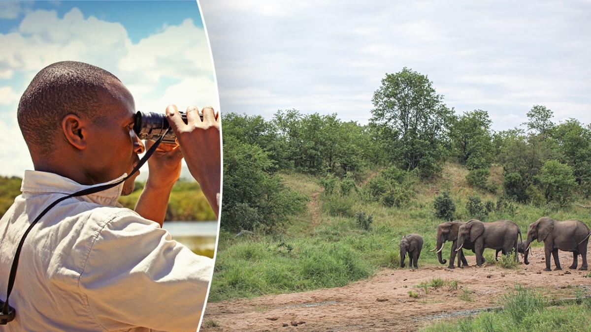 Spend your trip with wildlife on unforgettable safaris, magnificent hikes and more