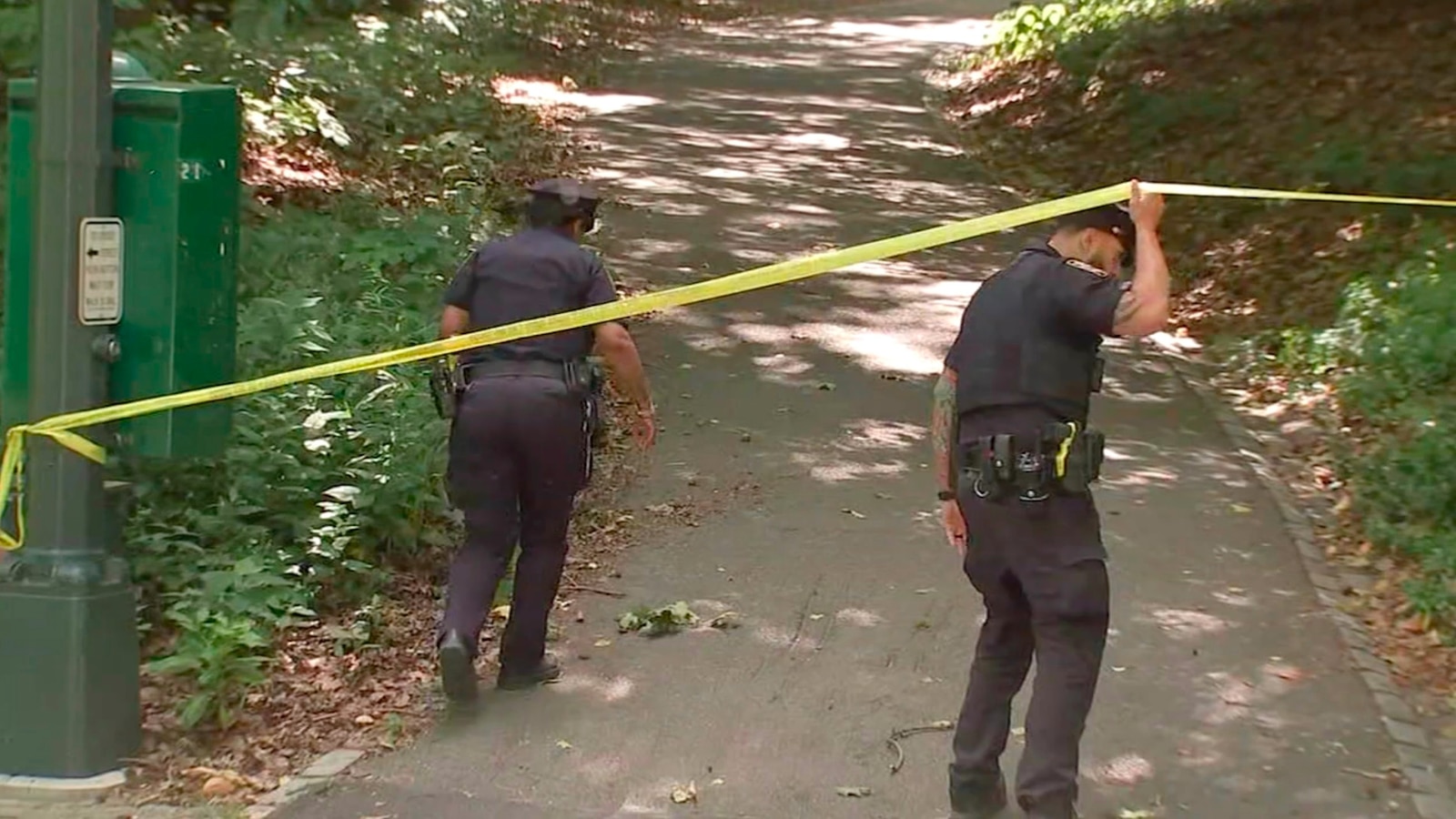 Person of interest taken into custody for attempted rape of Central Park sunbather: Sources