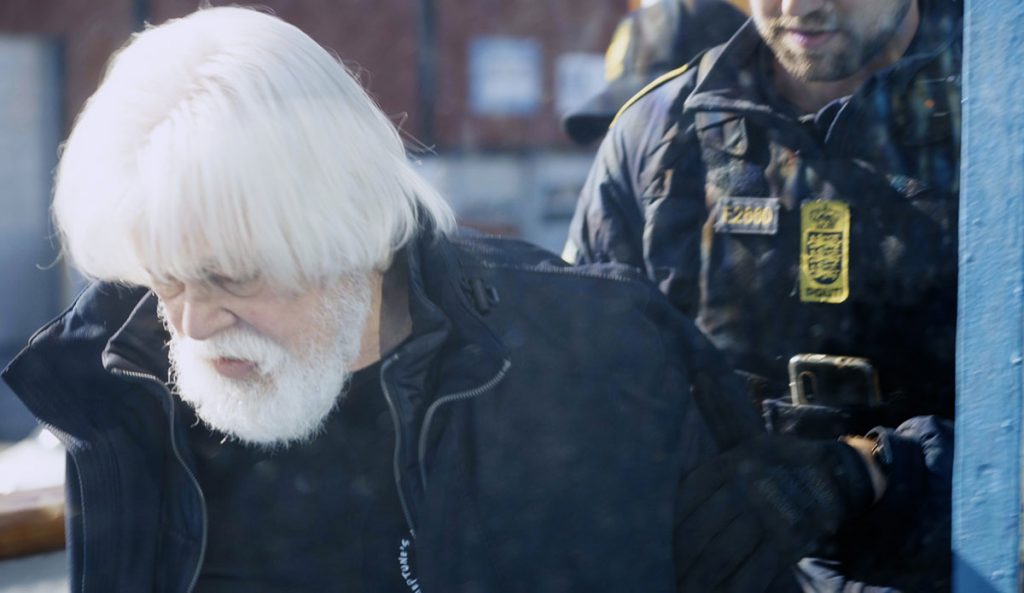 Sea Shepherd’s Captain Paul Watson Arrested Under International Warrant in Greenland