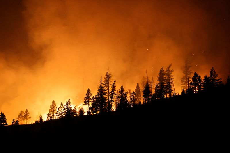 A wildfire burns in central British Columbia