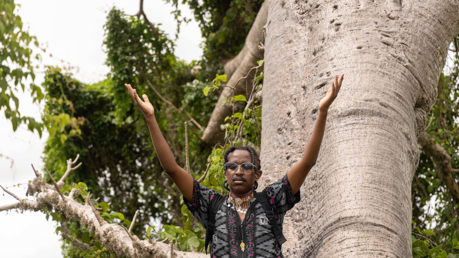 The Tree Whisperer: A Kenyan artist celebrates his love of the Baobab | Documentary
