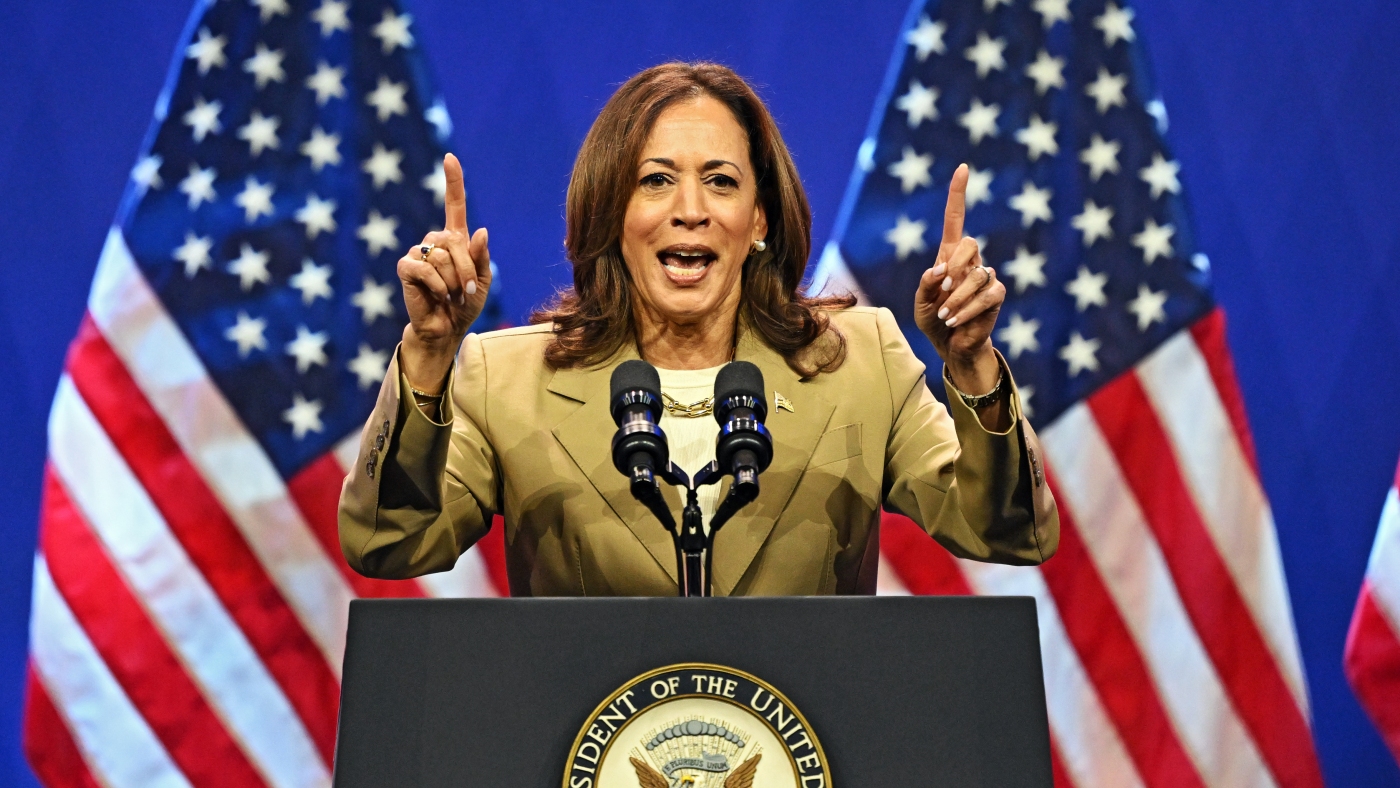 Democrats rally behind Vice President Harris as presidential nominee : NPR