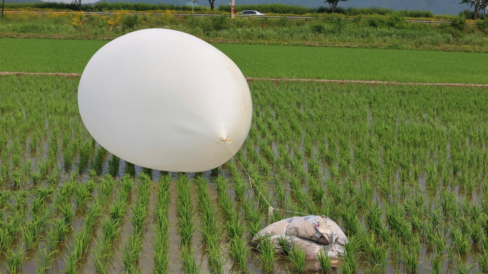 N. Korea flies more likely trash balloons after South resumes propaganda broadcasts