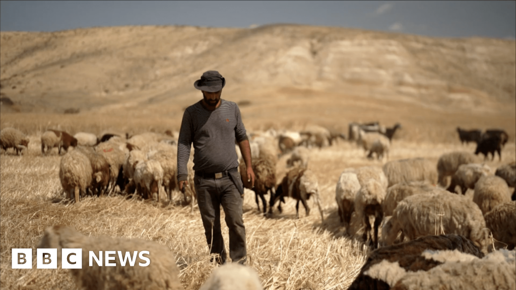 Confronting violent settlers in the occupied West Bank, together