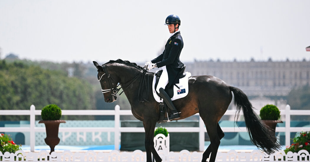 Equestrian Is Having an Uncomfortable Moment. Its Olympic Horses Are Not.