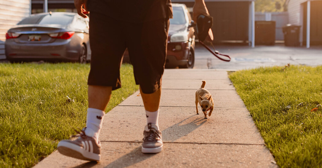 The Latest Frontier in Housing Inequity? Pet Friendliness.