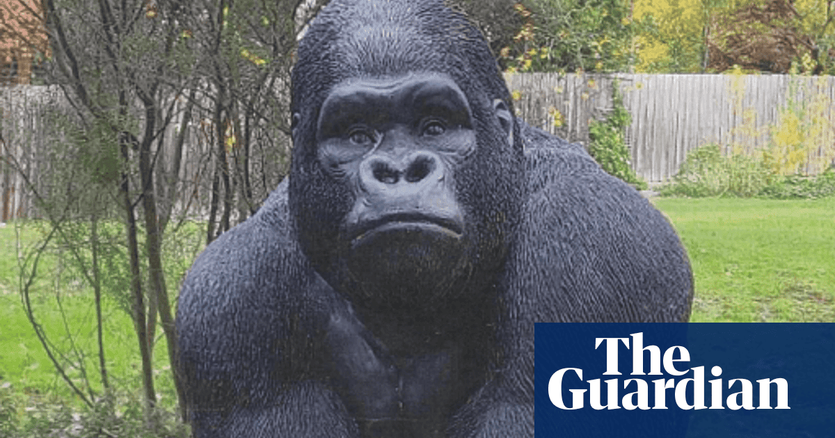 Thief who stole 20kg gorilla statue from Melbourne retirement village admits he made ‘silly’ mistake | Australia news