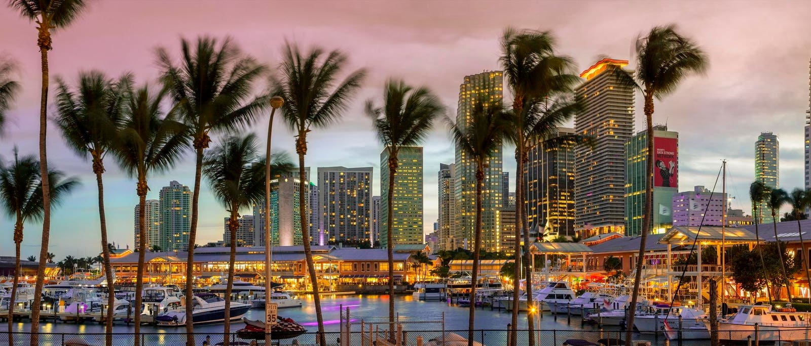 A Transplant’s Perspective On Where To Dine And Dance In Miami