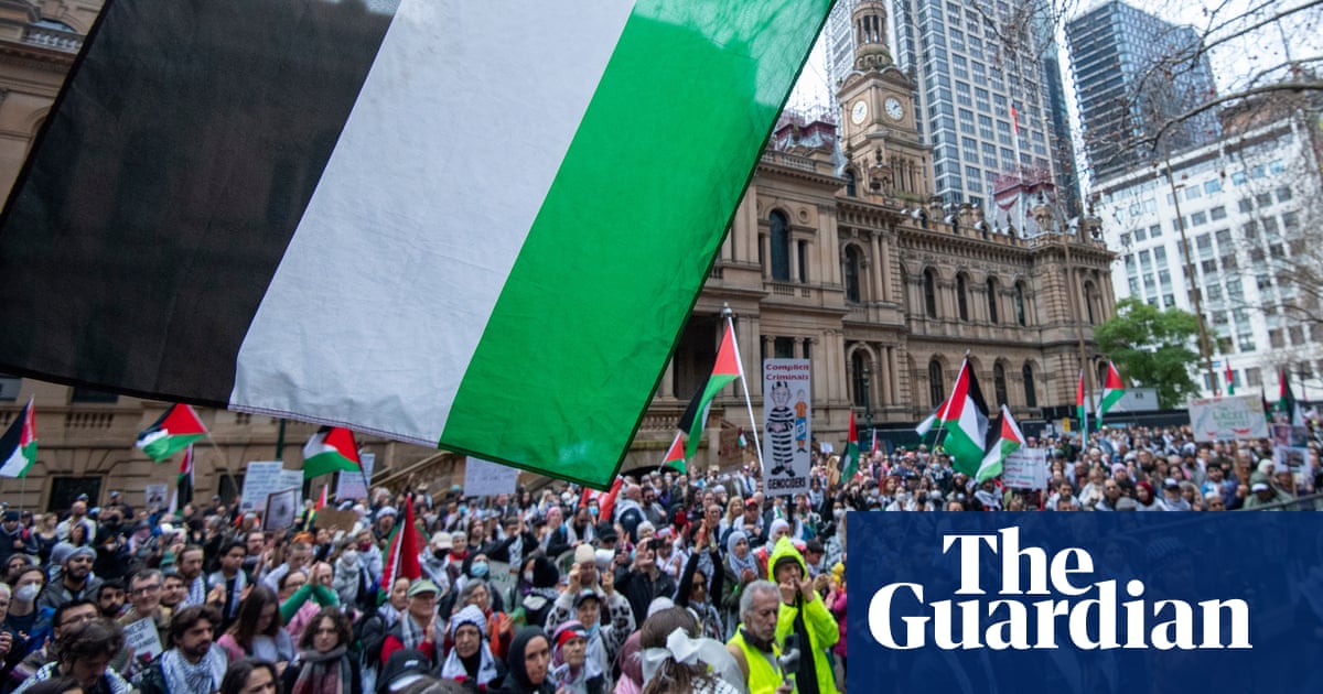 Government will consider pathways for Palestinians fleeing Gaza to stay longer in Australia, Burke says | Israel-Gaza war