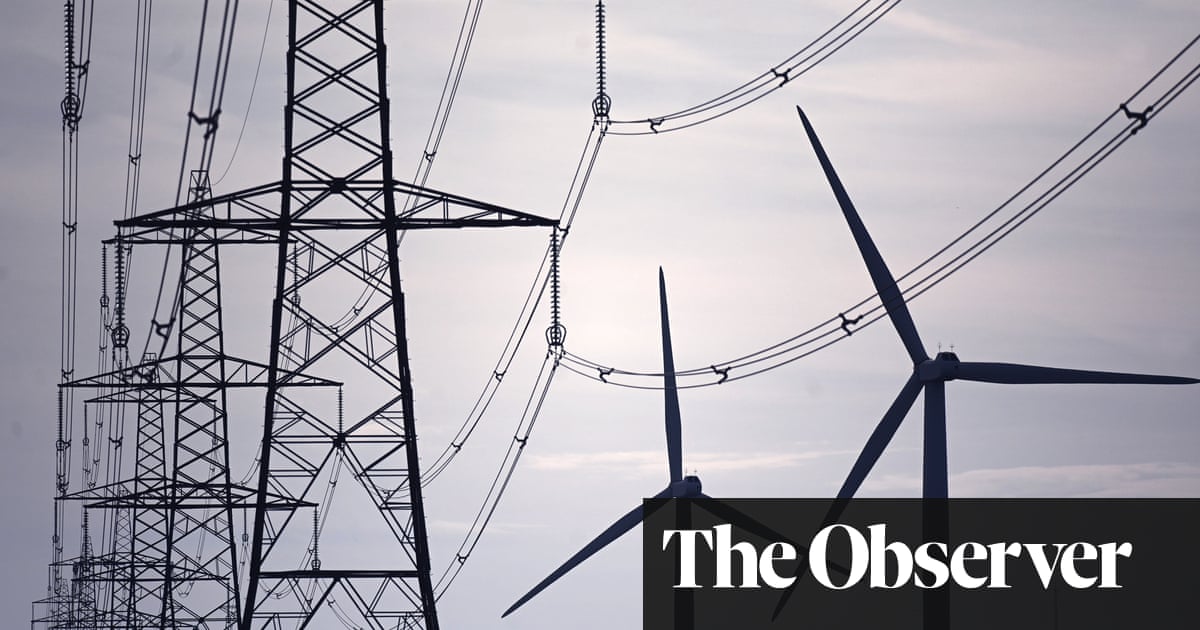 Labour go-ahead for march of the pylons promises to spark conflict | Energy industry