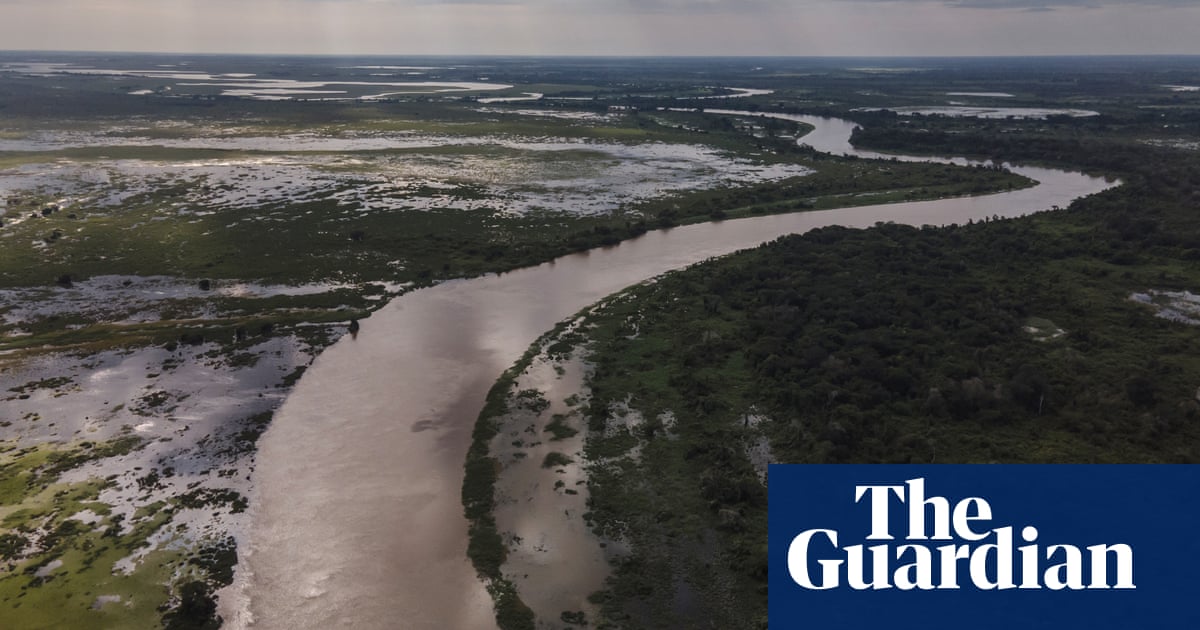 Pantanal waterway project would destroy a ‘paradise on Earth’, scientists warn | Wetlands