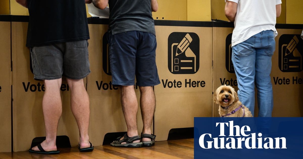 NSW Liberal party campaign in crisis after deadlines missed for council election nominations | New South Wales politics