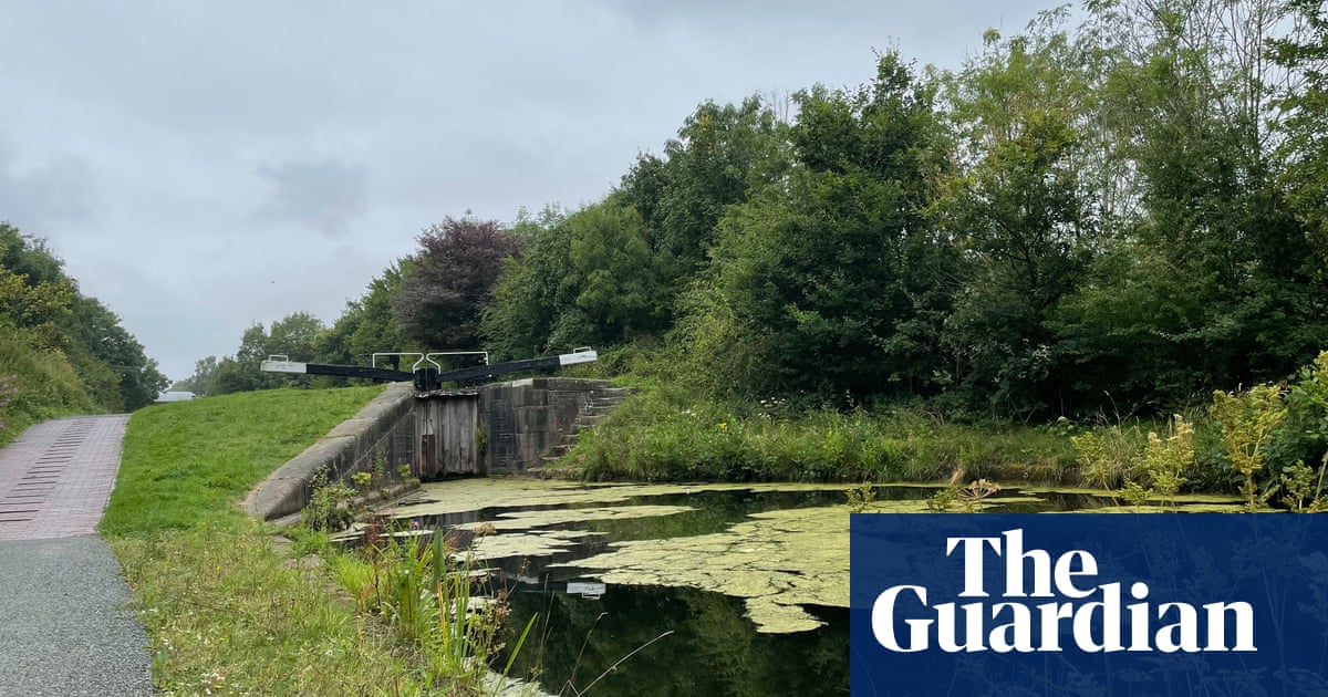 Watchdog investigates ‘unacceptable’ cyanide spill in Walsall canal | Walsall