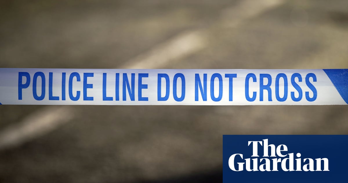 Two men arrested after knife killing in east London | UK news