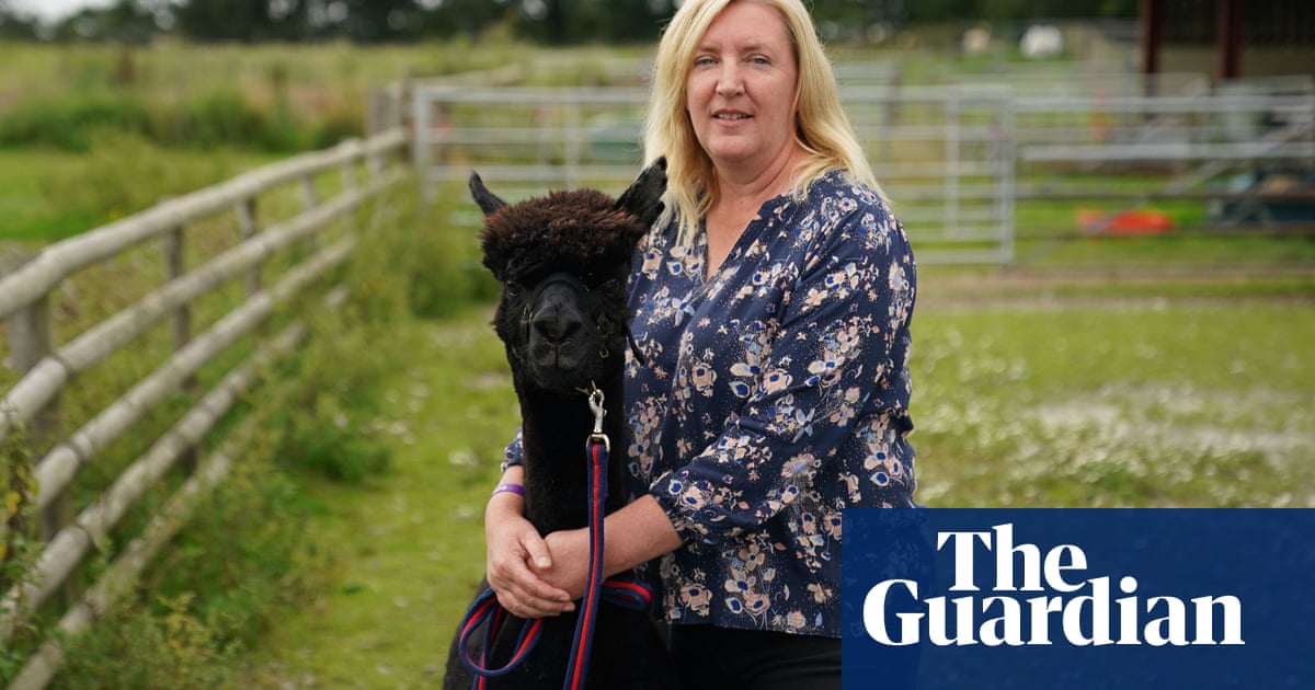 Keir Starmer should review killing of Geronimo the alpaca, says farmer | Animals