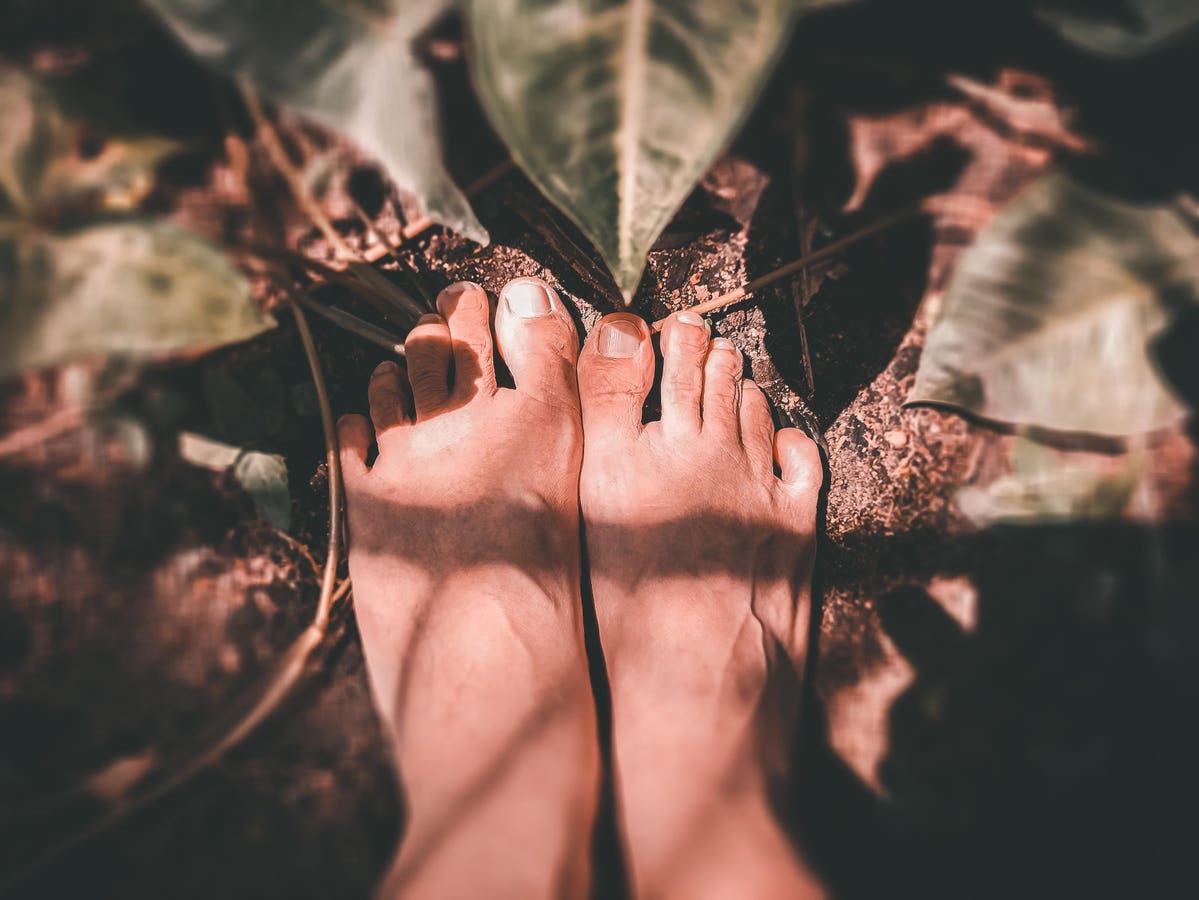 The Soil Under Your Feet Affects You More Than You Think. Here’s Why