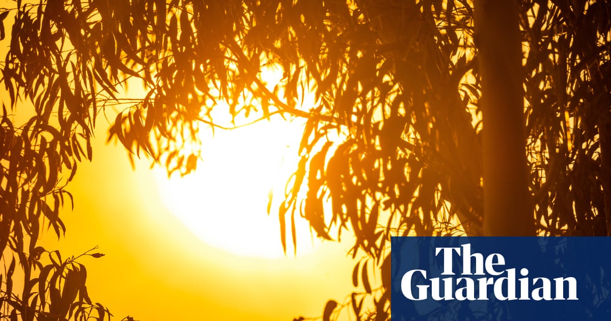 More August temperature records expected to fall amid warm weather and winds across east coast | Australia weather