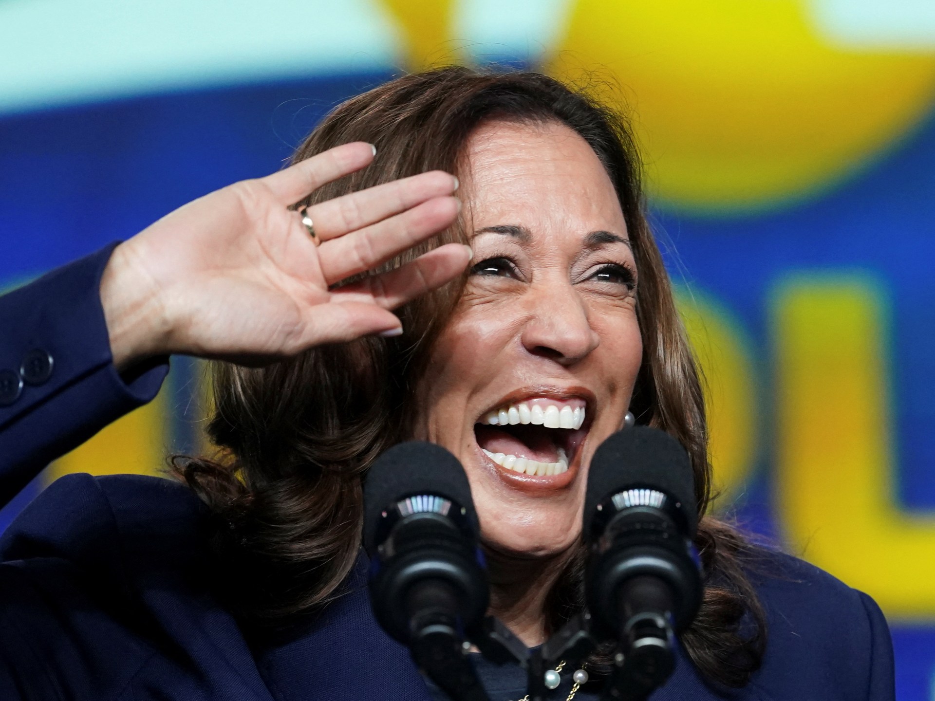 Democrats begin process to nominate Harris for president: What to know | US Election 2024 News