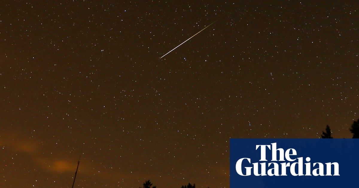 Special treat for stargazers as Perseid meteor shower set to light up night sky | Space