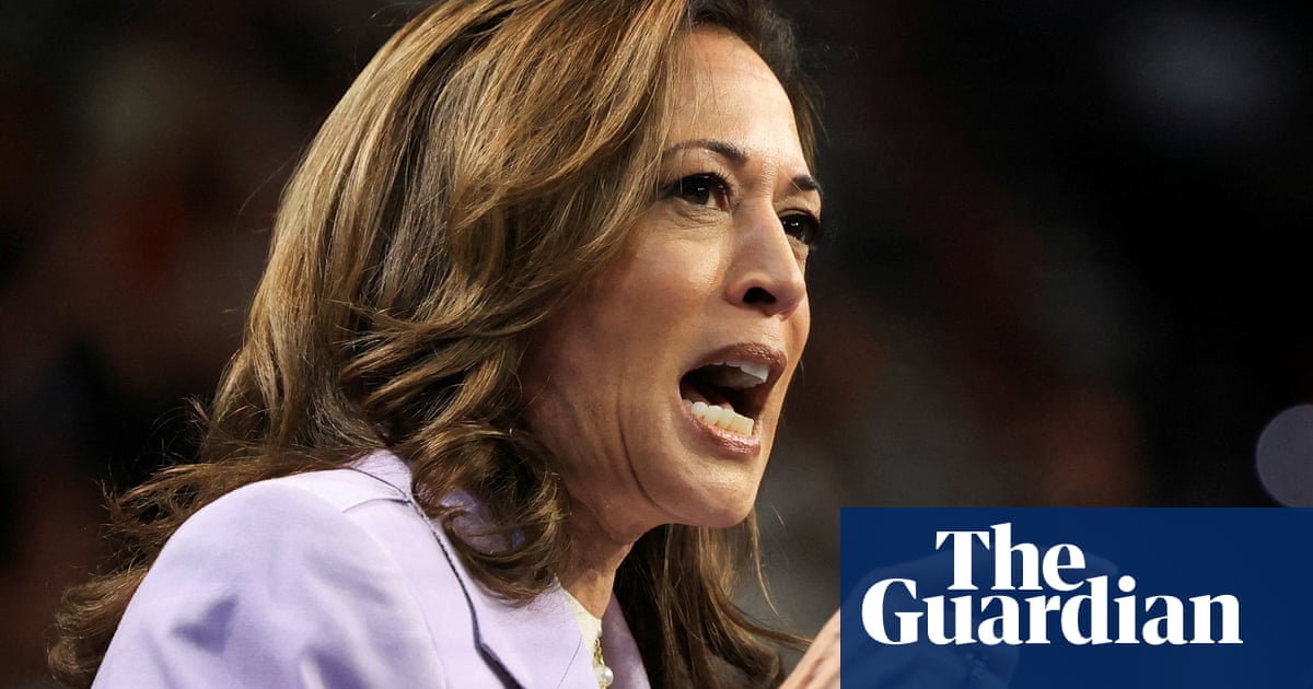 Kamala Harris economic plan to focus on groceries, housing and healthcare | US elections 2024