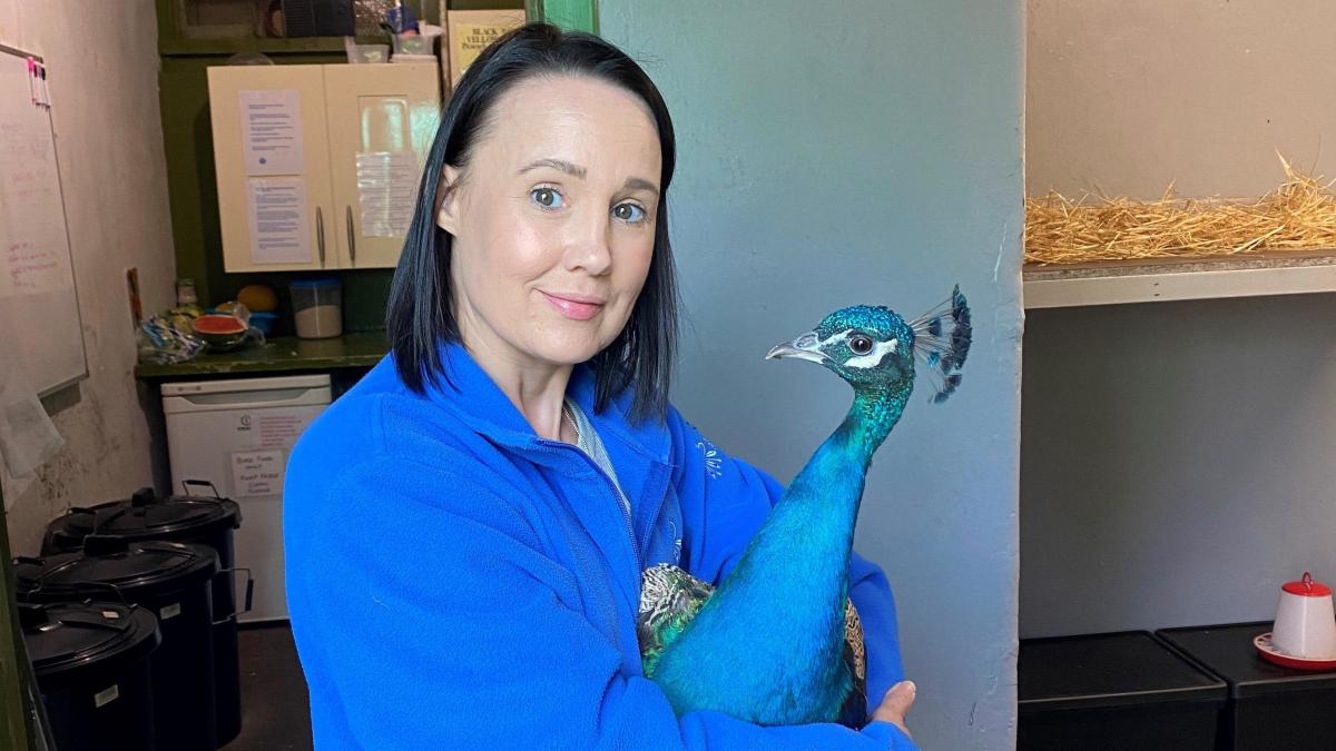 Dunfermline's peacocks given Freedom of the City