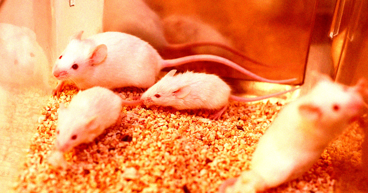 Scientists Use Nanoparticles to Remote Control Brains of Mice