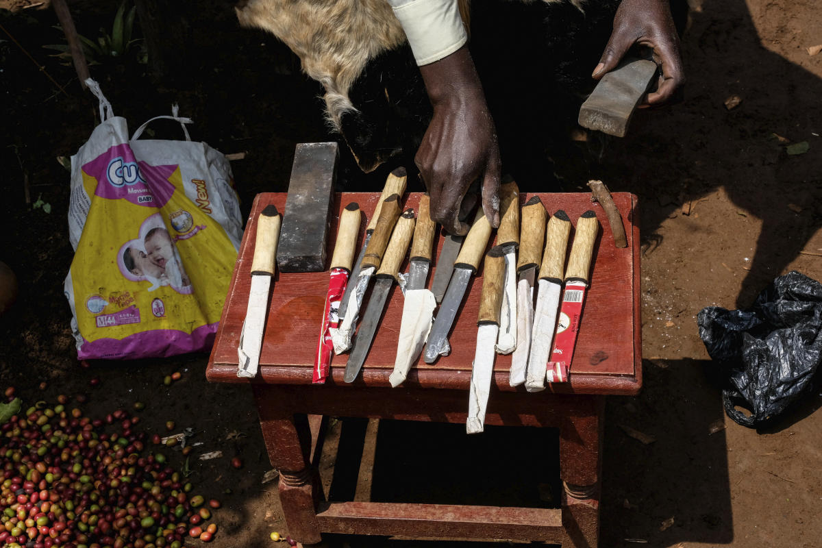 In a remote Ugandan region, a sacred circumcision ritual faces a contentious test of purity