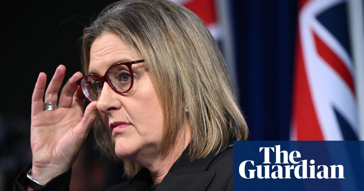 Spit hoods for children to be banned as Victoria gets closer to raising age of criminal responsibility to 12 | Victorian politics