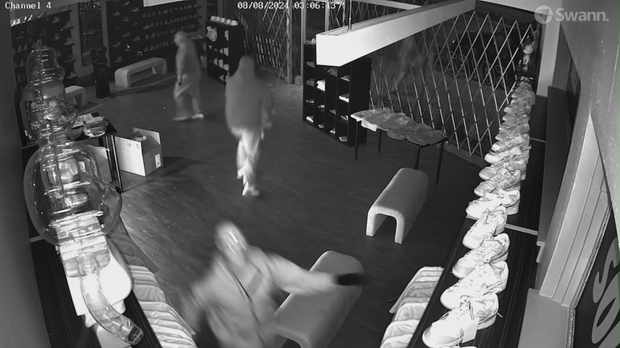 Shoe Store Burglarized