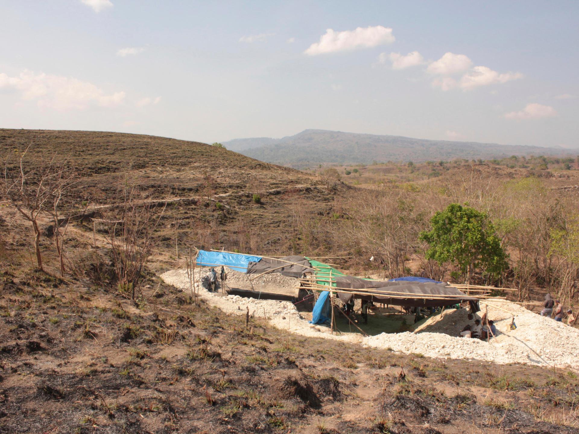 New study reveals more on early ‘Hobbit’ humans in Indonesia’s Flores | Science and Technology News