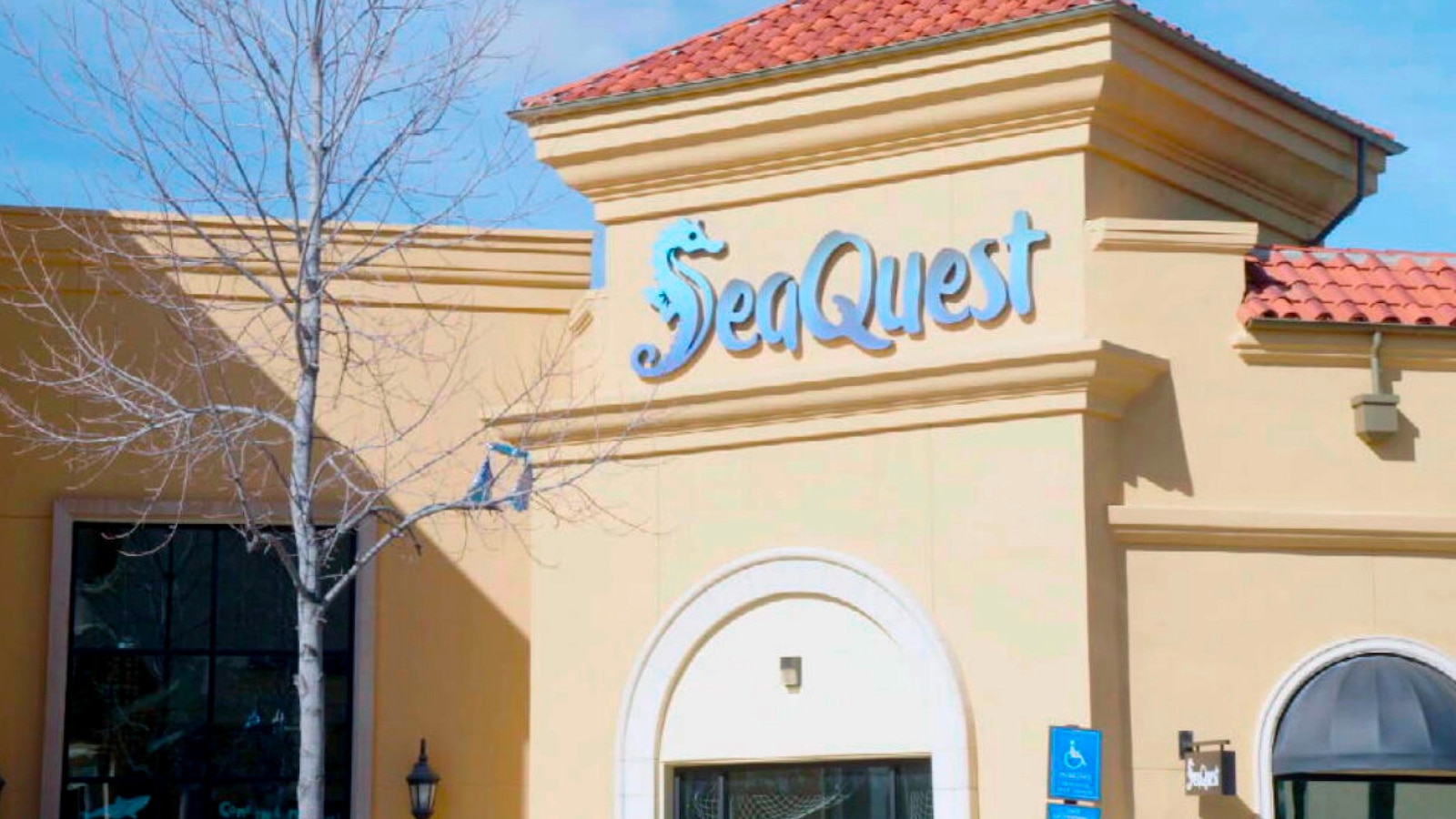 SeaQuest CEO steps down amid allegations of animal neglect at aquarium chain