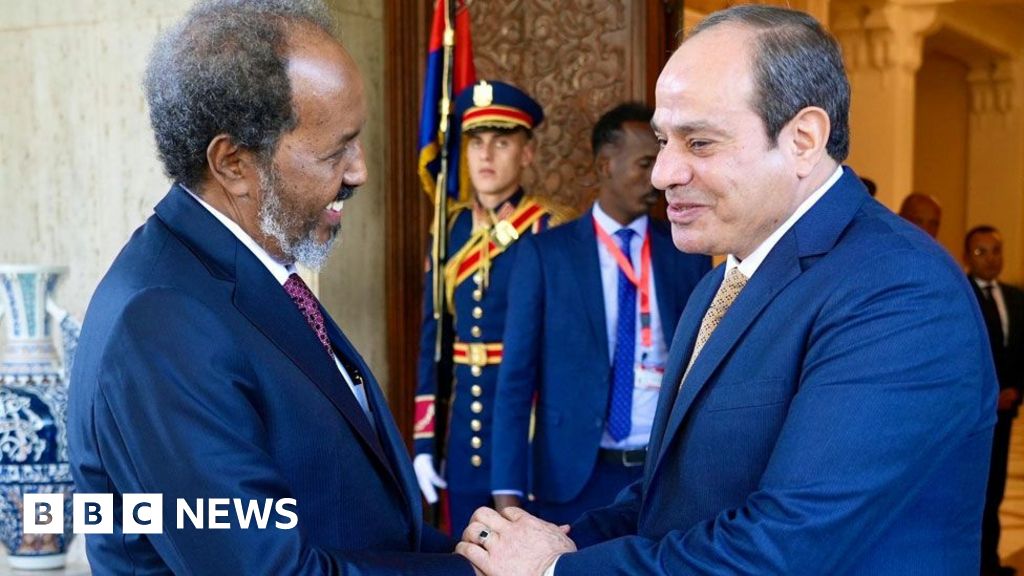 Why Ethiopia is so alarmed by an Egypt-Somalia alliance