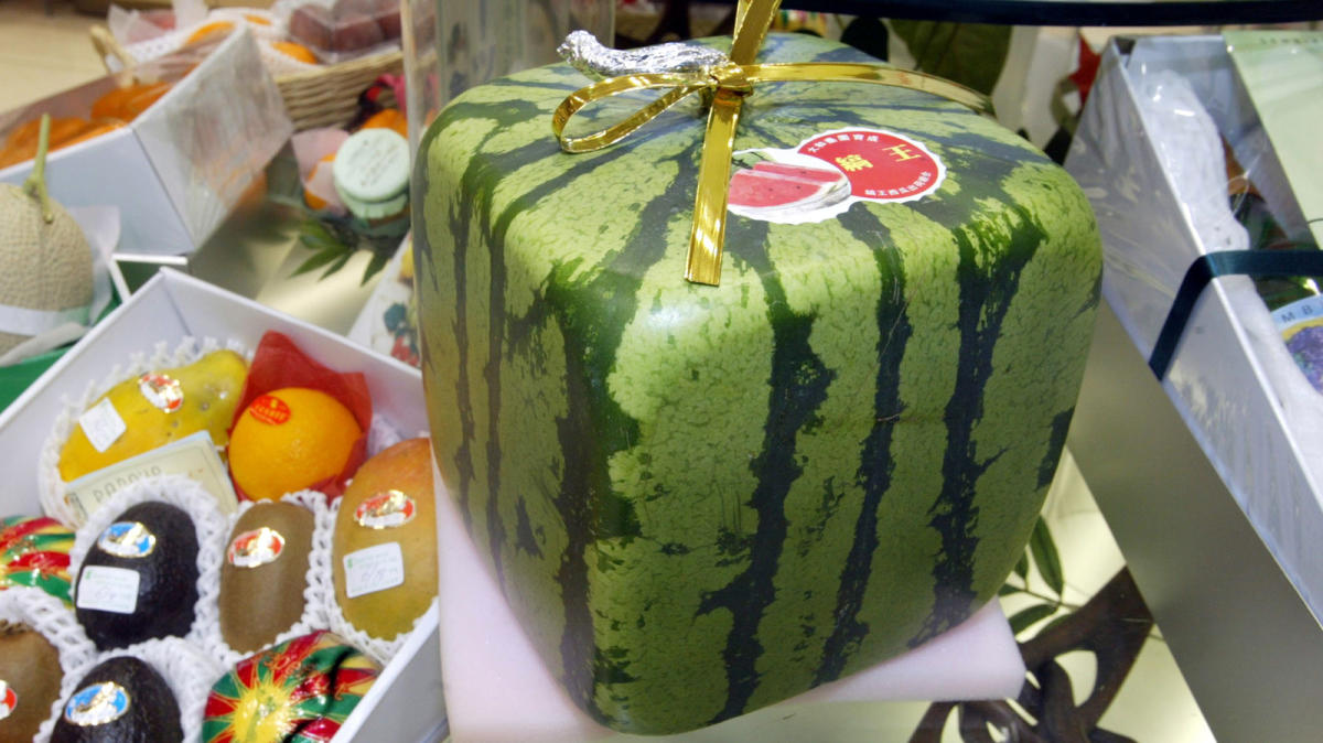 Japan Has Square Watermelons You Have To Pay A Pretty Penny For