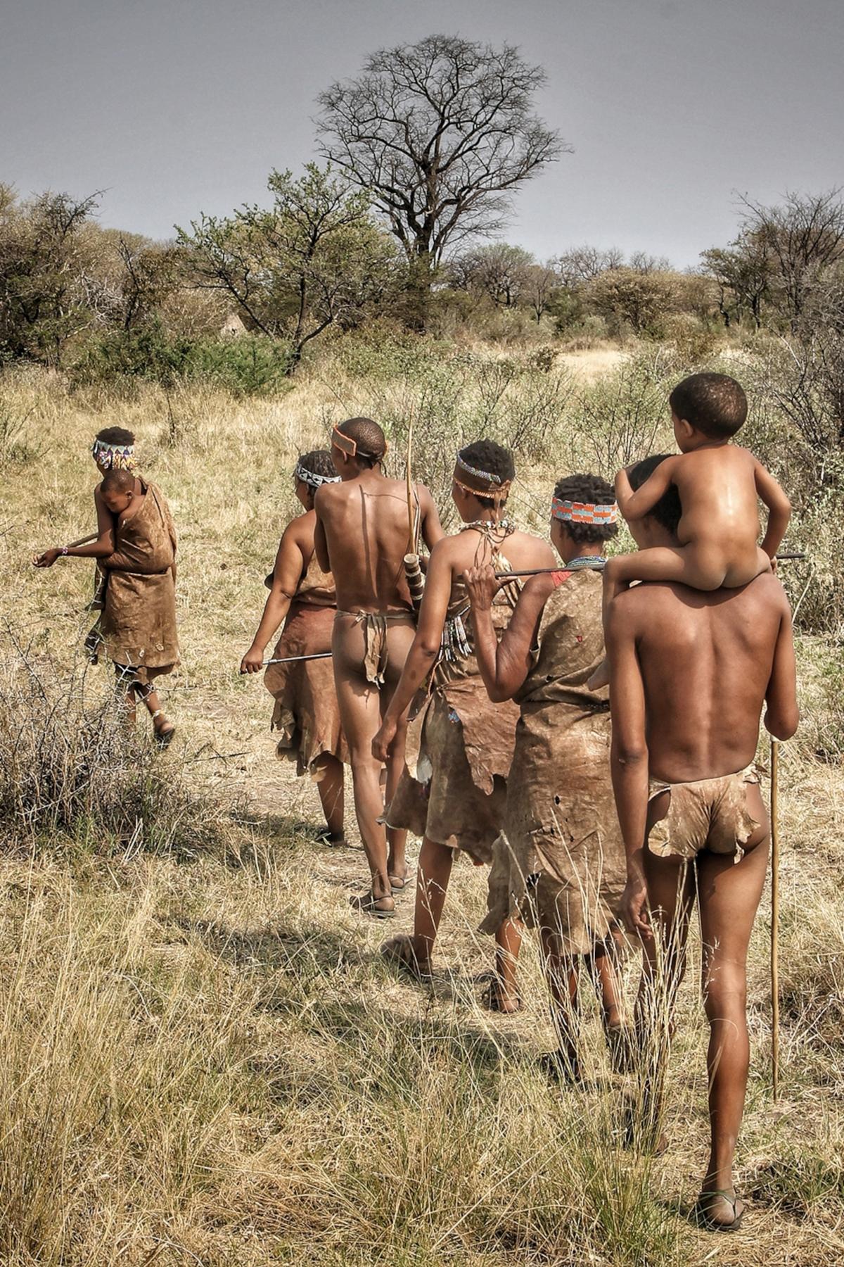 What it's like to go on a bushwalk in the Kalahari desert