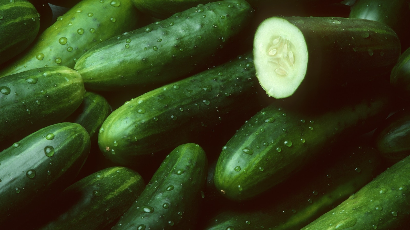 Cucumbers linked to salmonella outbreak in 31 states