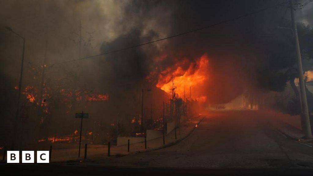 A high school building and its gym in flames in Nea Panteli, Athens area (12 August)