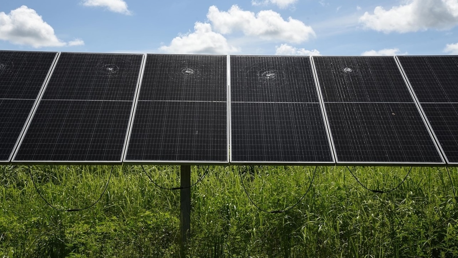 Jordanian citizen arrested for allegedly attacking Florida solar energy facility, threatening pro-Israeli businesses: DOJ