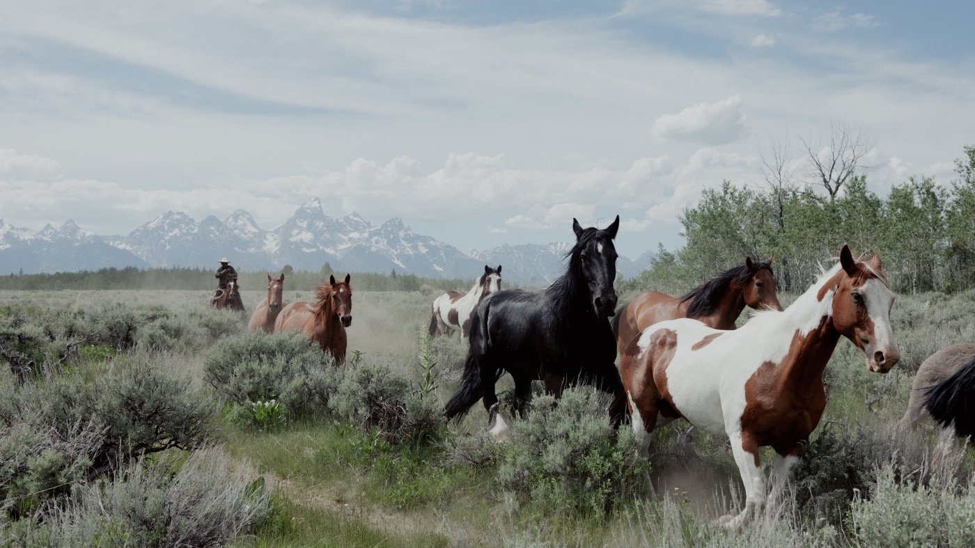 Wyoming offers to sell land to Grand Teton park -- or it could go to developers : NPR