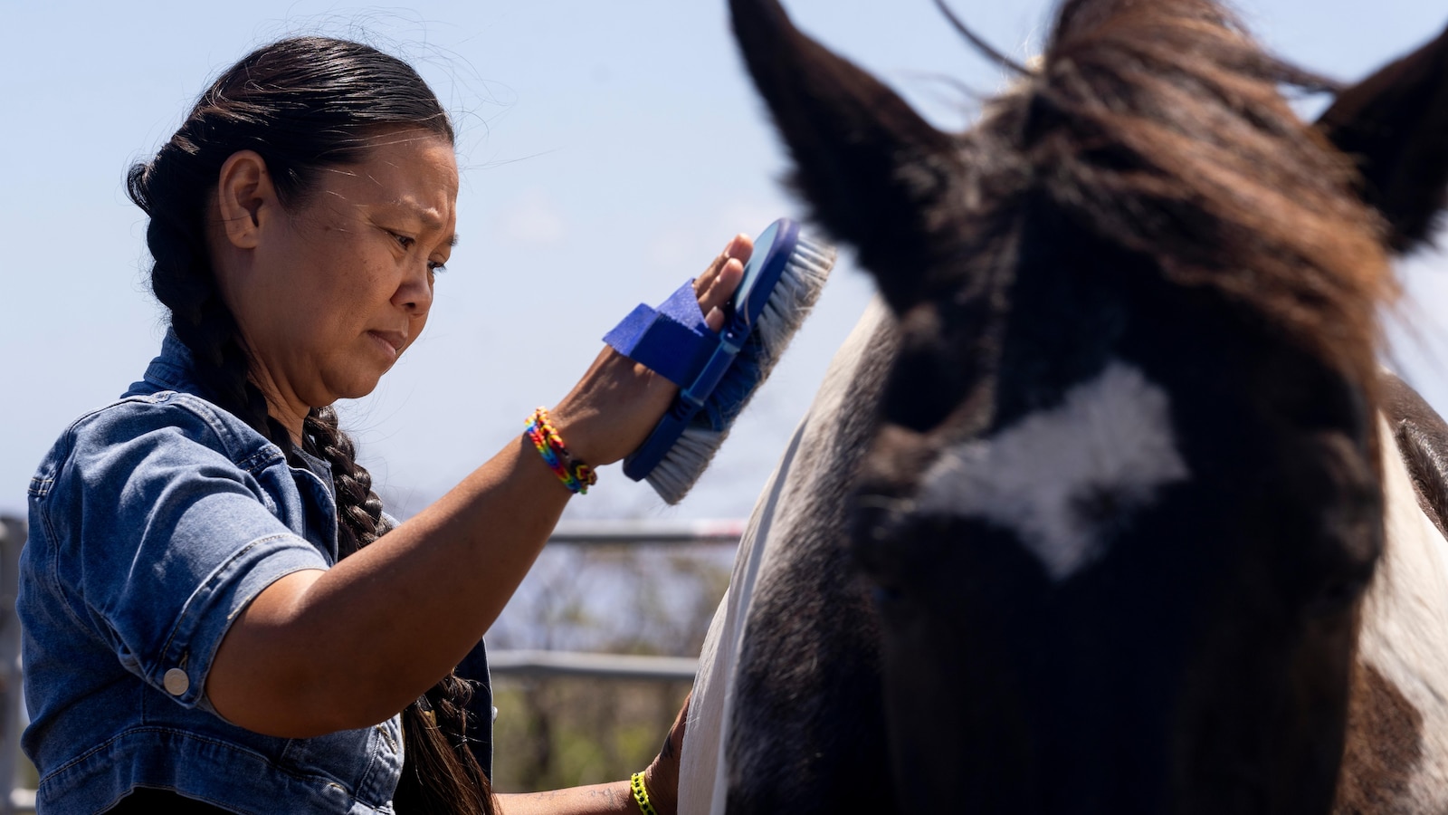 How horses at the Spirit Horse Ranch help Maui wildfire survivors process their grief