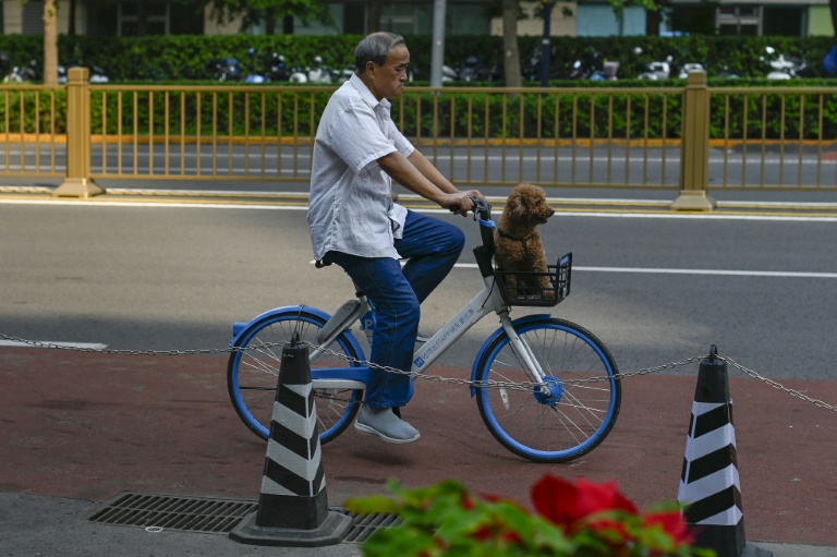 Hellobike