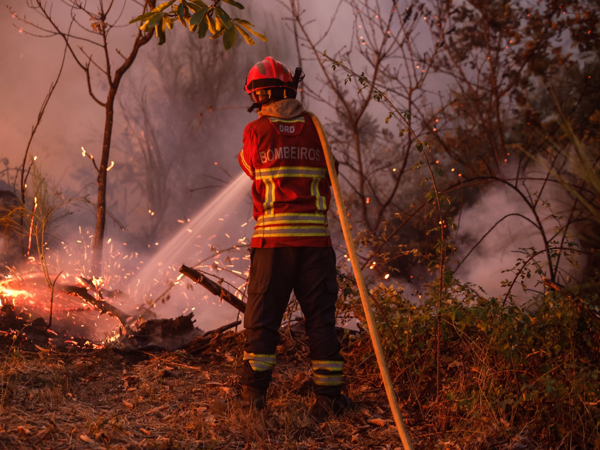 Portugal battles deadly wildfires | In Pictures News