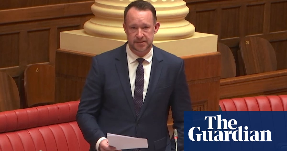 Bill proposing South Australians seeking later abortions give birth tantamount to ‘forced birth’, Greens say | Abortion