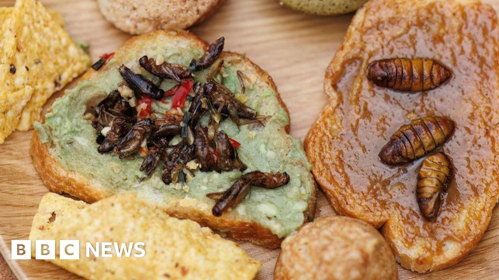 Insect-eating advocates face a culinary challenge: taste