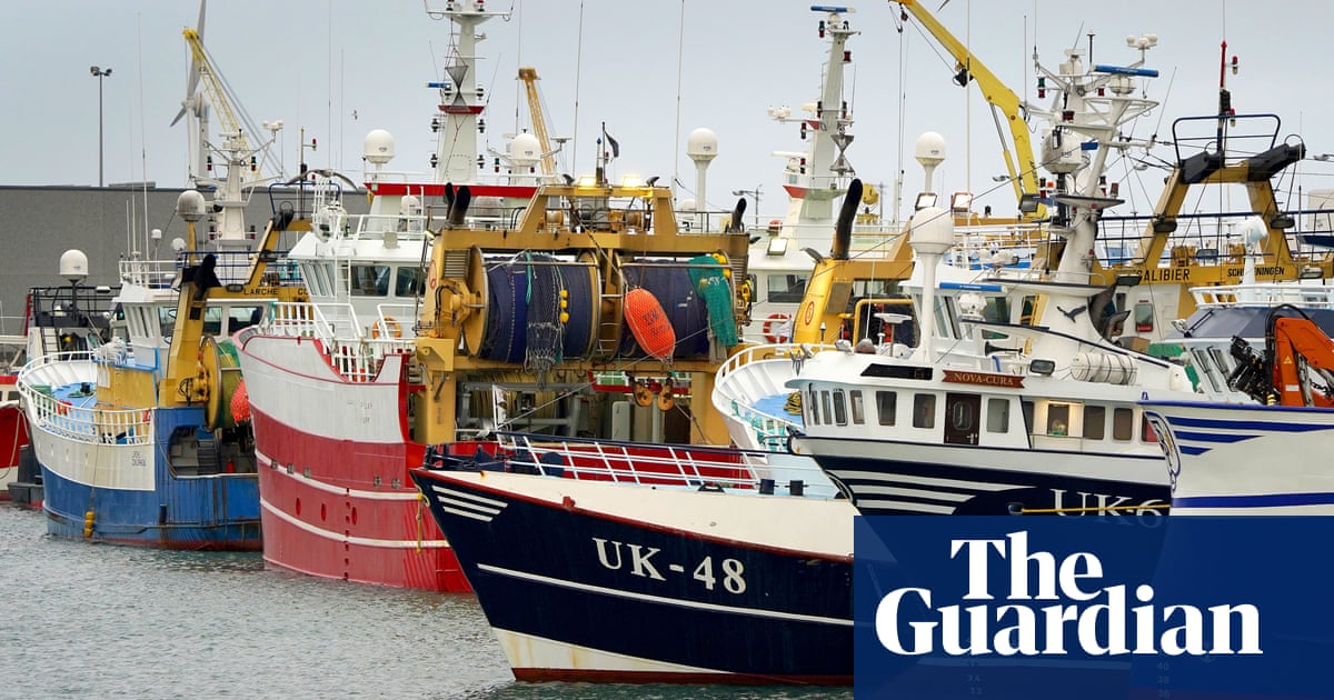 EU failing to enforce illegal fishing rules, say campaigners | Fishing