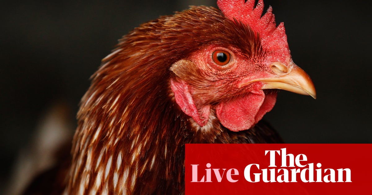 News live: Australia’s ability to fight off deadly bird flu to be put to test in series of exercises | Australia news