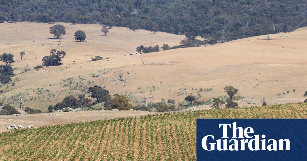 Company linked to Angus Taylor offered ‘generous’ offset calculation after illegal land clearing, FoI letters reveal | Australia news